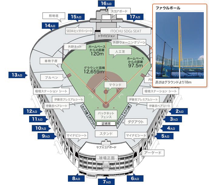 ファウルポール 高さはグラウンドより18m
