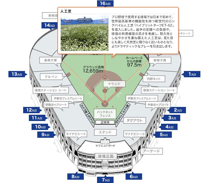 人工芝 プロ野球で使用する球場では日本で初めて、世界最高基準の機能性を持つ新世代のロングパイル人工芝「ハイブリットターフET-62」を導入しました。選手の足腰への負担や、球場の利用頻度の高さを考慮し、耐久性としなやかさを兼ね備えた人工芝は、見た目にも美しく天然芝に限りなく近いものとなり、よりドラマティックなプレーを引き出します。