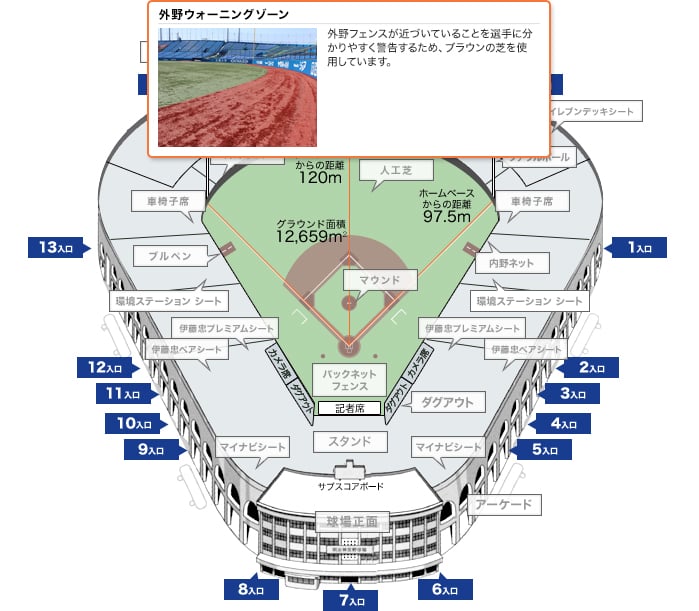 外野ウォーニングゾーン 外野フェンスが近づいていることを選手に分かりやすく警告するため、ブラウンの芝を使用しています。