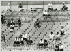 1978年　外野スタンド改築　名物の芝生席を改築した外野席