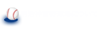 明治神宮野球場について